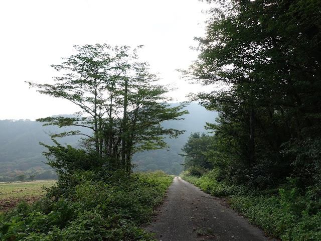 香取の牧草地の農道へ入ります