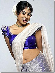 meenakshi _in saree