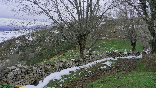 Ruta circular al Pico Horru, techo del concejo de Belmonte, en la Sierra de la Manteca