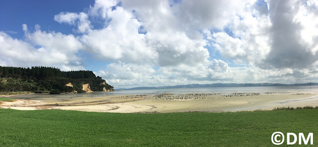 Photo de Kelly's Bay havre de Kaipara Northland Nouvelle-Zélande