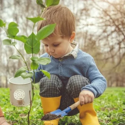 Jardins biodiversos proporcionam um ambiente relaxante e nos conectam com a natureza, melhorando nosso bem-estar.