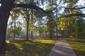Nature Coast_041