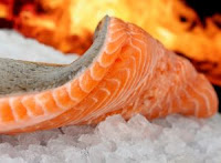 Fresh Salmon in New Zealand for Hotel Supplies