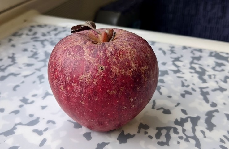 A conical apple, deep red with a scaly pattern, on a tabletop