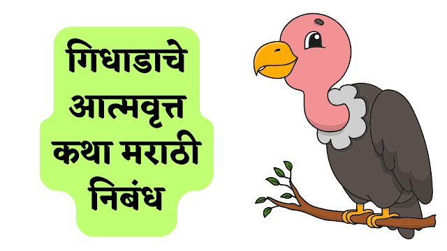 गिधाडाचे आत्मवृत्त कथा मराठी निबंध