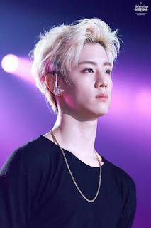 Mark Tuan(GOT7) Facts