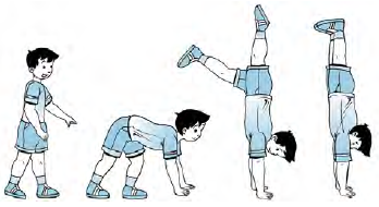 Berdiri dengan kedua tangan (handstand)