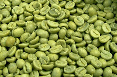 Harga green coffe bean 085695484798