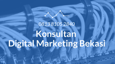 konsultan digital marketing