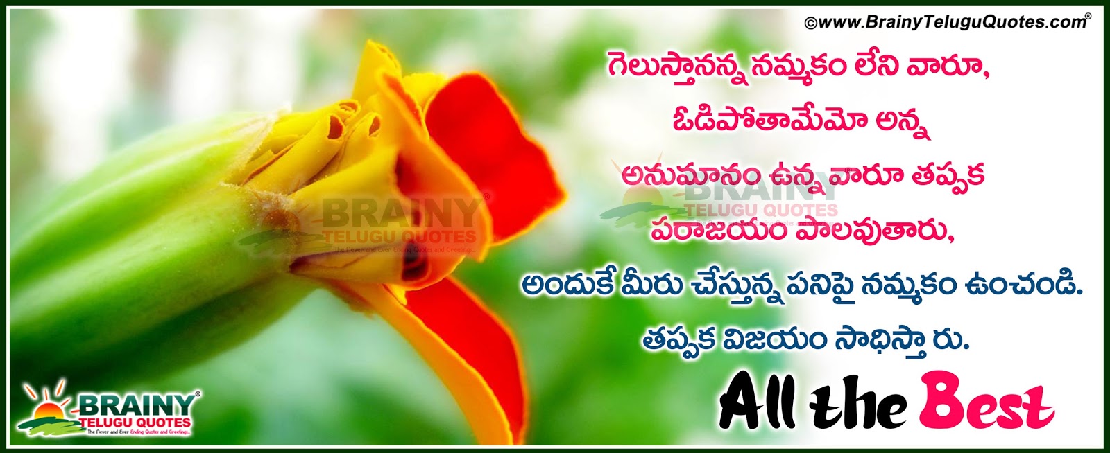 Inspirational quotes in telugu for cover pics Friendship quotes for cover pics