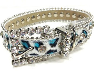 designer dog collars - Posh Puppy Boutique
