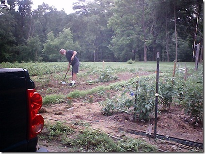 Dad Working In The Garden