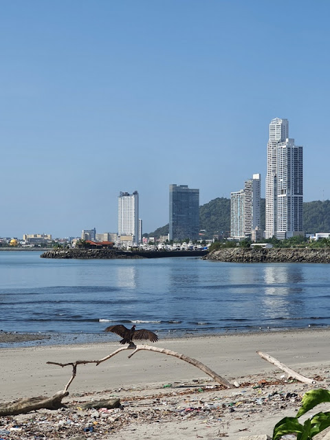 Cinta Costera Cidade do Panamá