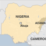 
Many killed as Boko Haram terrorists loot bank in Adamawa

