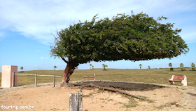 Piauí