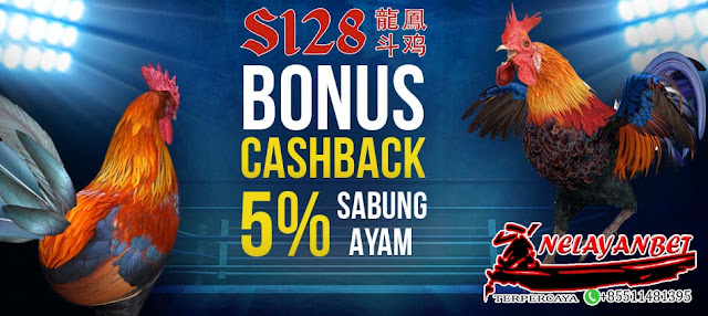 Promo Bonus Satu Arena Sabung Ayam Menang Beruntun s1288 Terbesar Di Indonesia