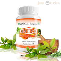 Obat Herbal Tahan Lama Diabetes