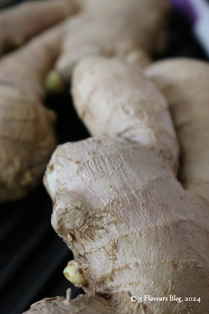 Ginger Rhizomes, Close-up