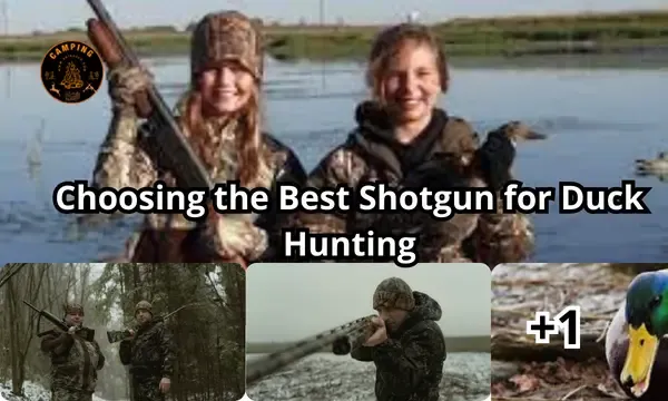 Choosing the Best Shotgun for Duck Hunting