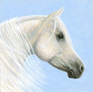 Arabian Portrait painting by Shari Erickson