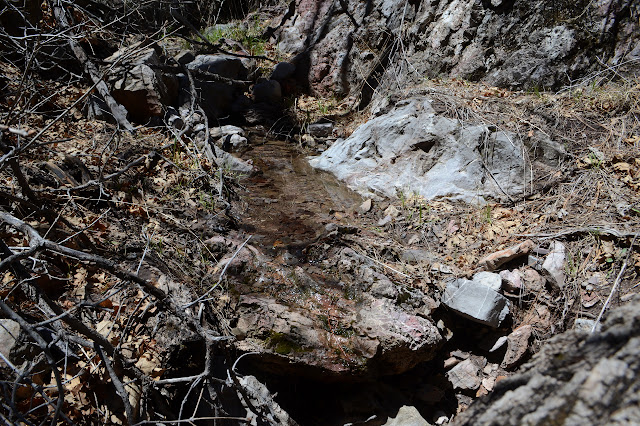 water in the gully