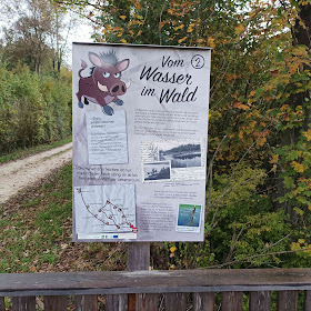 Wasser im Wald
