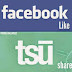 Earn money from Tsu Community: An alternative to Facebook!!