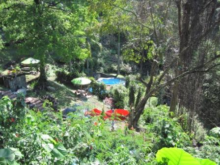 Wisata Air Terjun Kakek Bodo