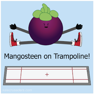 Mangosteen on Trampoline!