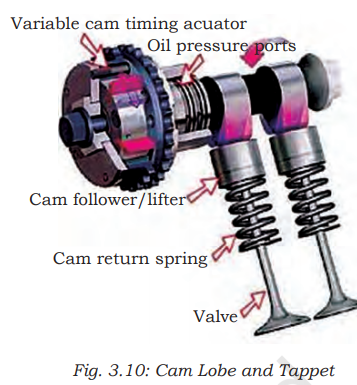 Cam Lobe and Tappet