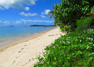 Phuket Beachfront south