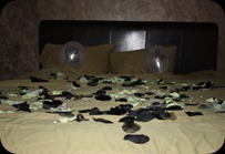 IMG_5866 IMG_5866