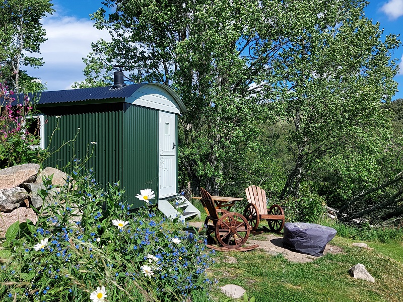 The green Shepherds Hut at Howe of Torbeg, surrounded by trees and wild flowers