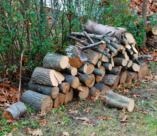 10. woodpile-kab