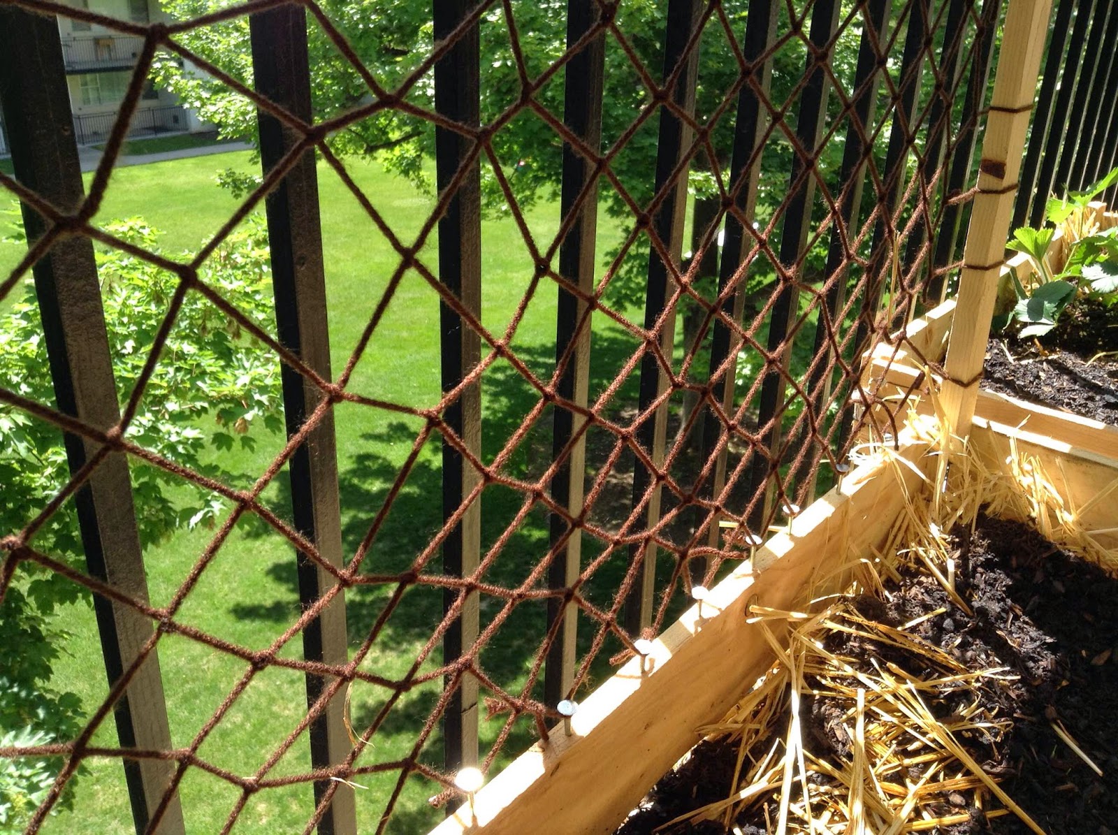 Mountain Rose Designs: How to Make a Simple Netted Trellis