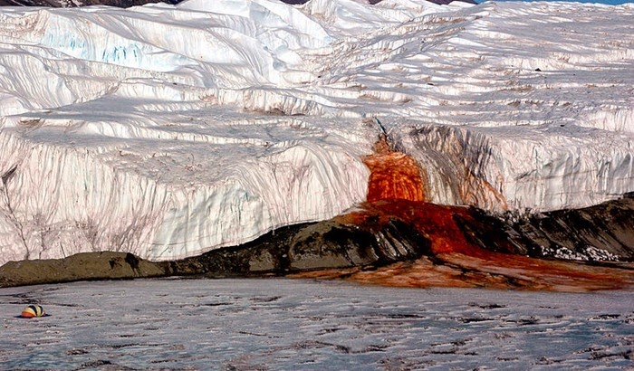 The Secret of the Blood Falls of Antarctica