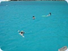 Snorkeling in White Bay