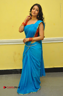 Telugu Actress Vaibhavi Stills in Blue Saree at Www.Meena Bazaar Movie Opening  0109.JPG