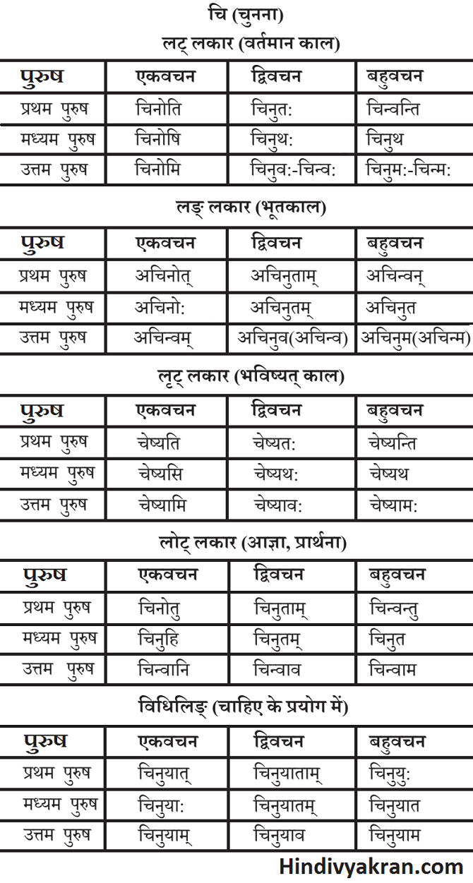 चि धातु के रूप संस्कृत में – Chi Dhatu Roop In Sanskrit