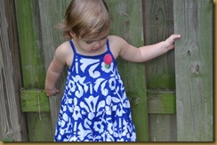 DSC_0093 (800x529)