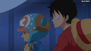 ワンピースアニメ 魚人島編 569話 ルフィ チョッパー | ONE PIECE Episode 569