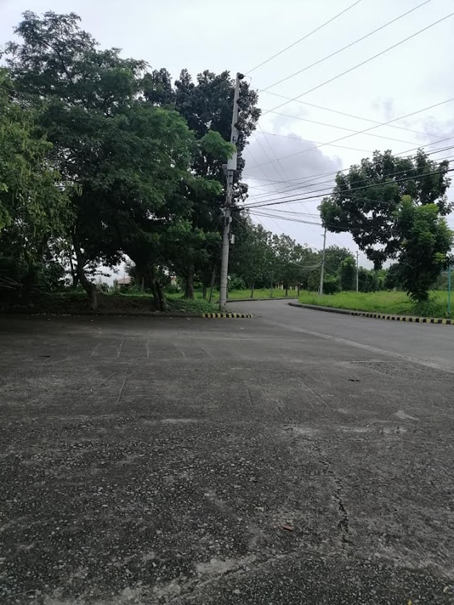 Vista Grande Lot for Sale @ Talisay, Cebu City