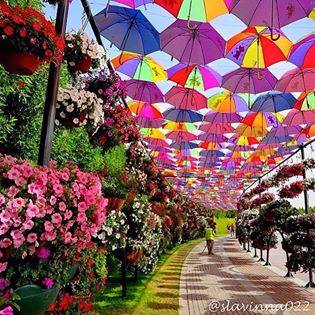 A lot of umbrellas in the streets of Portugal