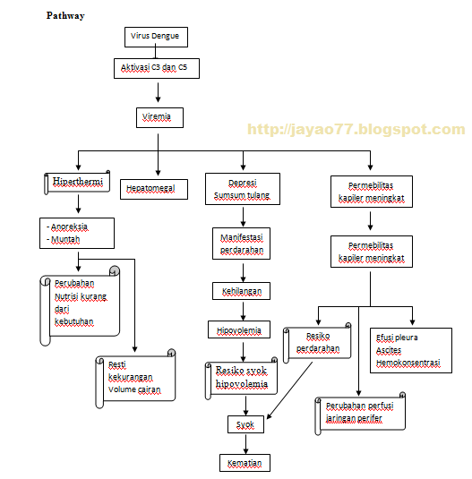 Pathway DHF Dengue Haemorhagic Fever 