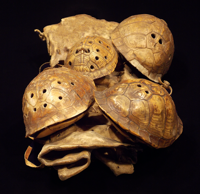 Turtle shells served as symbolic musical instruments for indigenous cultures of North America