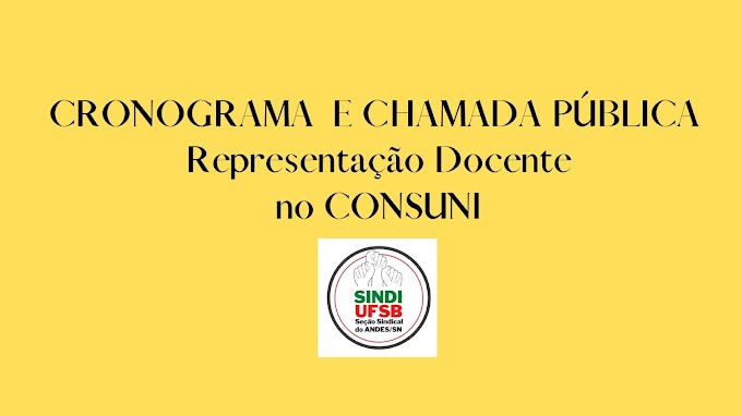 CRONOGRAMA E CHAMADA PÚBLICA - REPRESENTAÇÃO DOCENTE TITULAR NO CONSUNI