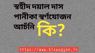 স্বহীদ দয়াল দাস পানিকা স্বৰ্ণযোজন আচঁনি