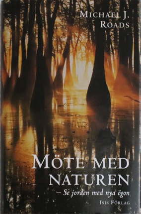Boken just nu 001