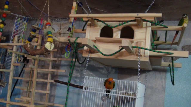 Custom Built Bird Houses