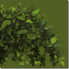 _a_art_007 (2)